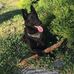 Gary Stowell - Facebook