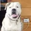 Gary Stowell - @gary.stowell - TikTok