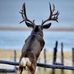 Gary Strassburg - Facebook