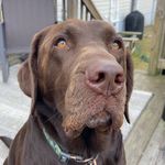 Gary Straub - @buddha4614 - Instagram