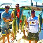 Gary Straube - @straubegary - Instagram