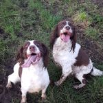 Gary Strawson - @strawsongary - Instagram