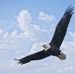 Gary Strayer - Facebook