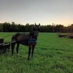 Gary Streicher - @garystreicher8 - Instagram