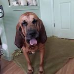 gary strickler - @garystrickler2 - Instagram