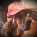 Gary Strickler - Facebook