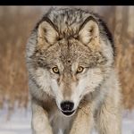 Gary Stroup - @gary.stroup.7 - Instagram