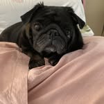 gary strutt - @garystrutt - Instagram