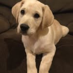 Gary Stubbings - @garyune1 - Instagram