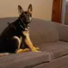 Gary Studer - @gary.studer - TikTok