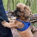 Gary Sturdy - Facebook