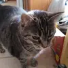 Gary Suder - @gary.suder4 - TikTok