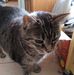 Gary Suder - Facebook