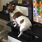 Gary Suen - Facebook
