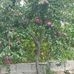 Sumer Kuru - Facebook