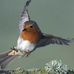 Gary Summerfield - Facebook