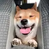 Gary Sum - @garysum - TikTok