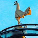 Gary Sumsion - @sumpo_59 - Instagram