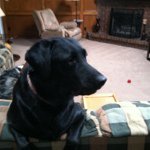 Gary Surber - @greenchilestew - Instagram