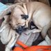Gary Sutcliffe - Facebook