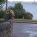 Gary Sutcliffe - Facebook