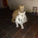 Gary Sutphin - Facebook