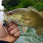 Gary Sutphin - @sutphingary - Instagram