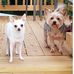 Gary Suttles - Facebook