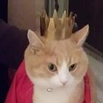 Gary Shawn Wireman - @gary.s.wireman - Instagram