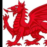 Taff Gary Gareth Jenkins - @taffgarygareth - Instagram