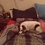 Gary Tarver - Facebook