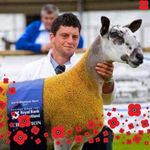 Gary Thornborrow - @thornborrowgary - Instagram