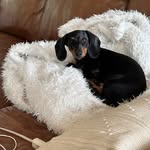Gary Throckmorton - @gtrock0912 - Instagram