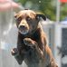 Gary Tisdale - Facebook