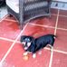 Gary Tisdale - Facebook