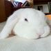 Gary Tonks - Facebook