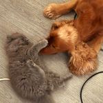 Gary & Toona - @gary_toona_show - Instagram