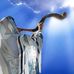 Gary Torres - Facebook