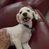 Gary Tran - @garytran0 - TikTok