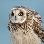 Gary Treadwell Wildlife Photography - @garytreadwellphotography - Instagram