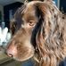 Gary Trott - Facebook