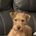 Gary Tyson - Facebook