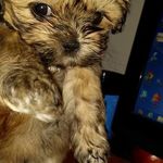 Gary Tyson - @gary.tyson.526 - Instagram