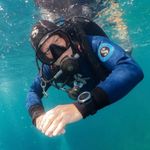 Gary Tyson - @garytysonunderwater - Instagram