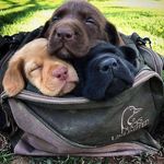Gary Utley - @gary_utley - Instagram
