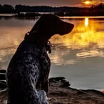 Gary Vance - Facebook