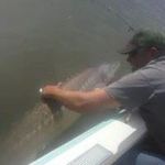 Gary Vanderstelt - @garyvanderstelt - Instagram