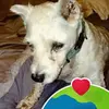 garyvanter - @garyvanter - TikTok