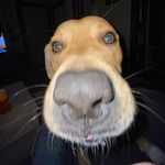 Gary VanWinkle - @garydasnail69 - Instagram