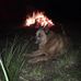 Garry Varcoe - Facebook